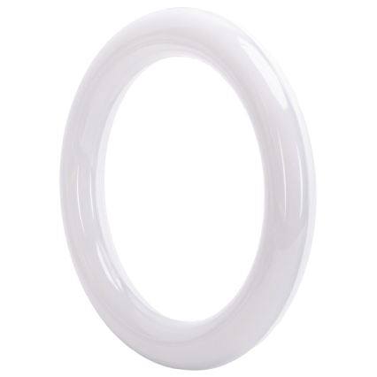 Tubo fluorescente LED G10q/14W/230V 6500K - Aigostar