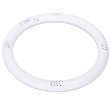 Tubo fluorescente LED G10q/17W/230V 6500K - Aigostar