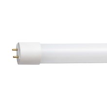 Tubo fluorescente LED G13/10W/230V 4000K 60 cm