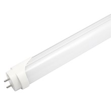 Tubo fluorescente LED G13/9W/230V 6500K 60 cm