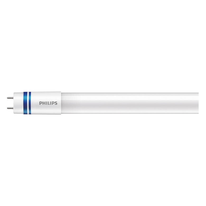 Tubo fluorescente LED Philips MASTER T8 G13/16W/80V 6500K 120 cm