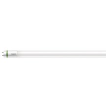 Tubo fluorescente LED Philips T8 G13/14,5W/230V 4000K 120 cm