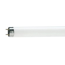 Tubo fluorescente T8 G13/15W/55V 4000K 43,8 cm