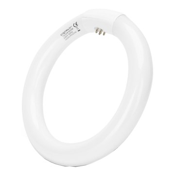 Tubo fluorescente T9 G24q-1/22W/230V 6500K - Aigostar