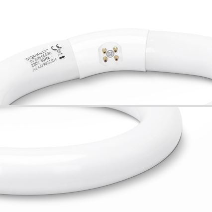 Tubo fluorescente T9 G24q-1/22W/230V 6500K - Aigostar