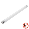 Tubo fluorescente UV para armadilha de insetos G13/15W/230V 45 cm - Brilagi