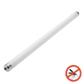 Tubo fluorescente UV para armadilha de insetos G13/18W/230V 60 cm - Brilagi