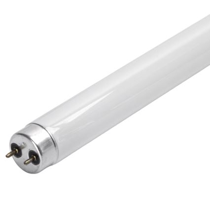 Tubo fluorescente UV para armadilha elétrica de insetos G13/10W/230V 36,5 cm - BRILAGI