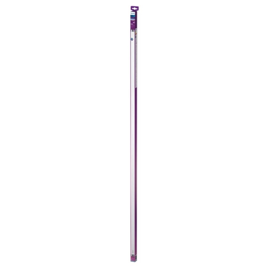Tubo fluorescente LED Philips T8 G13/19,5W/230V 6500K 150 cm
