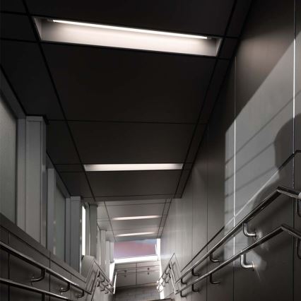 Tubo LED T5 G5/8W/230V 4000K 60 cm