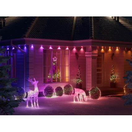 Twinkly - Renas de Natal LED RGBW reguláveis para exterior 160xLED IP44 Wi-Fi
