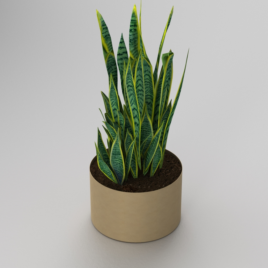 Vaso para flores 11x17 cm dourado