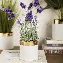 Vaso para flores de cerâmica CINDY 11x11 cm branco/dourado