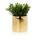 Vaso para flores de cerâmica FLORA 11x11 cm dourado