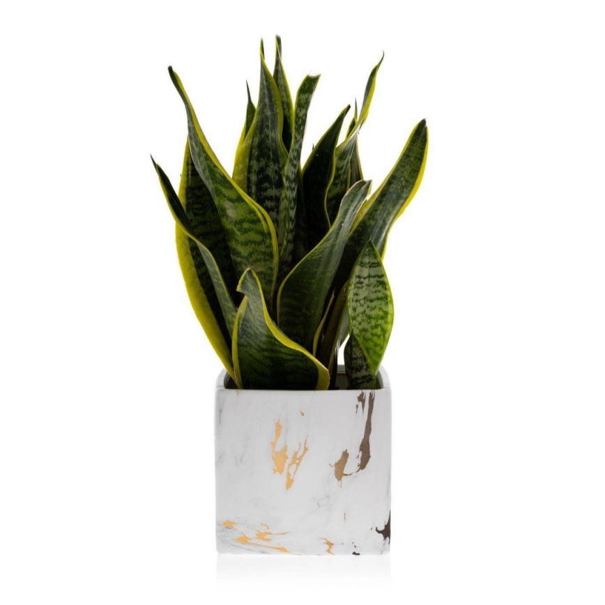 Vaso para flores de cerâmica MARBELA 13x13 cm branco/dourado