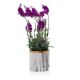 Vaso para flores de cerâmica SONA 13x13 cm