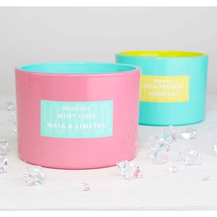 Vela perfumada MINT LIME 292 g