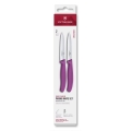 Victorinox - Conjunto de 2 facas de cozinha para legumes SWISS CLASSIC, lâmina de 10 cm, roxas