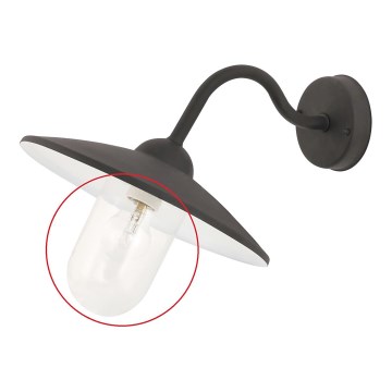 Vidro de substituição E27 170x100 mm