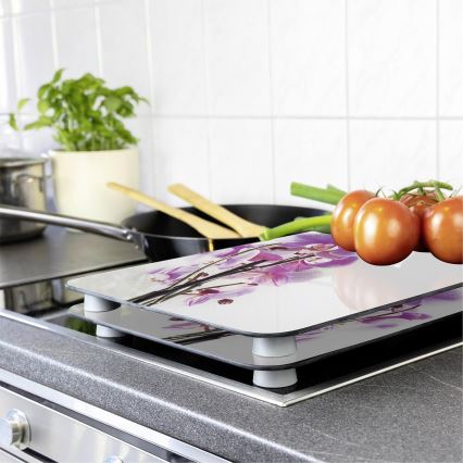 WENKO 2521433500 - Capa para placa - FLOR/PLANTA 30x52 cm multicolorida