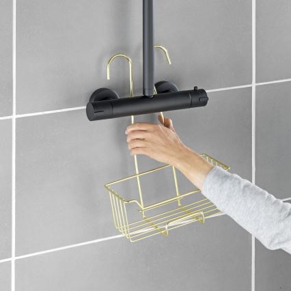 WENKO 25937100 - Cesto de duche MILO 25x36 cm aço inoxidável/dourado/transparente