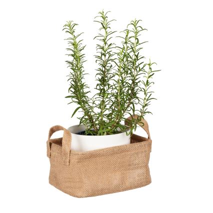 WENKO 64470100 - Cesto JUNA 20x15 cm castanho