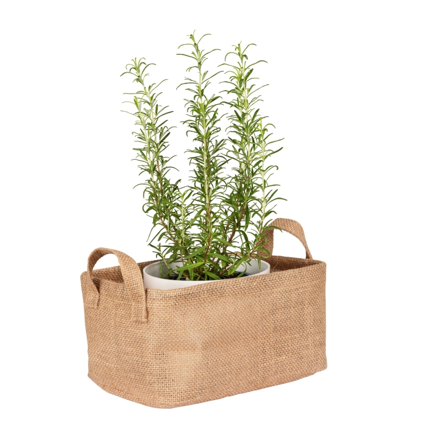 WENKO 64471100 - Cesto JUNA 24x17 cm castanho