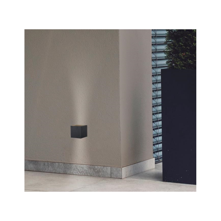 Westinghouse 61149 - Iluminação de parede exterior LED FREYA 2xLED/4,5W/230V IP44 preto