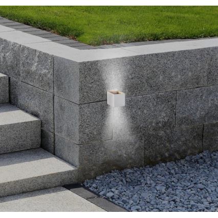 Westinghouse 61150 - Iluminação de parede exterior LED FREYA 2xLED/4,5W/230V IP44 branco