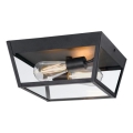 Westinghouse 61219 - Iluminação de teto exterior PETERSON 2xE27/40W/230V IP44