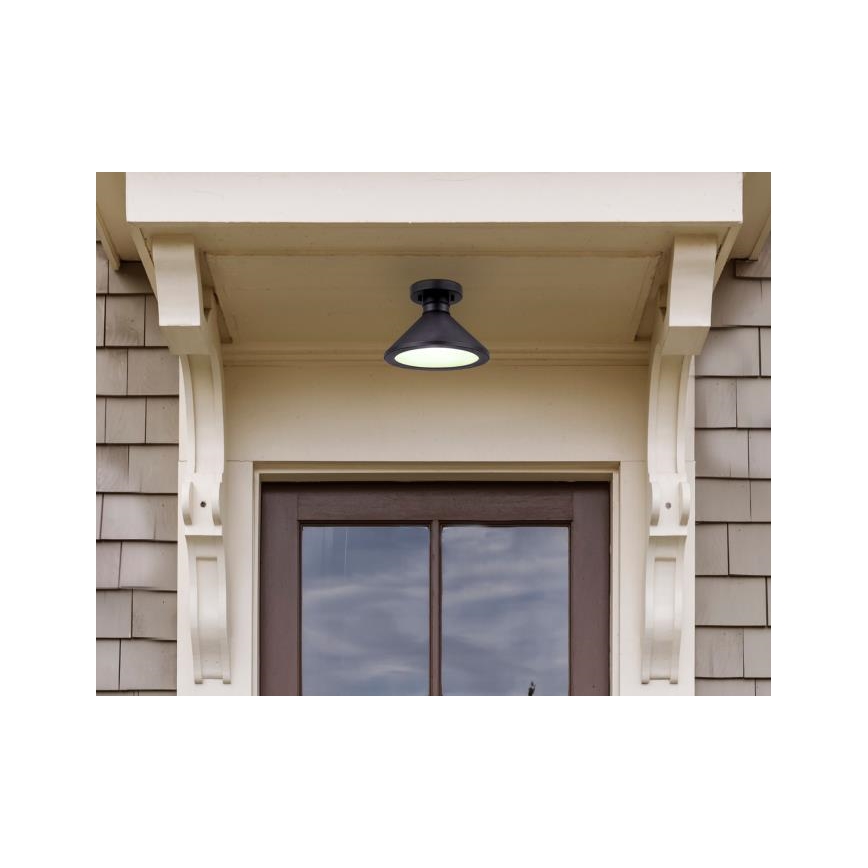 Westinghouse 61238 - Iluminação de teto exterior WALTER 1xE27/60W/230V IP44