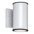 Westinghouse 65807 - Iluminação exterior LED com regulação MARIUS LED/8W/230V IP44