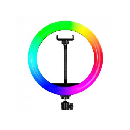 Winner Group - Candeeiro de pé LED RGB regulável com tripé e suporte para vlog LED/10W/5V