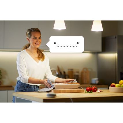 WiZ - Tomada inteligente F 2300W + powermeter Wi-Fi SCHUKO