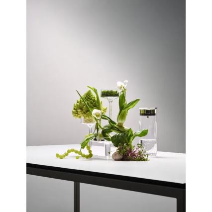 WMF - Jarra para água MOTION 800 ml