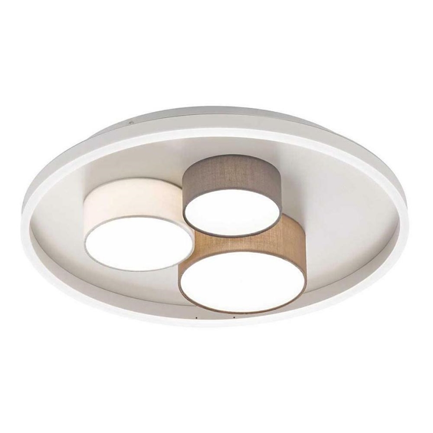 Wofi 11764 - Iluminação de teto LED BIA LED/45W/230V