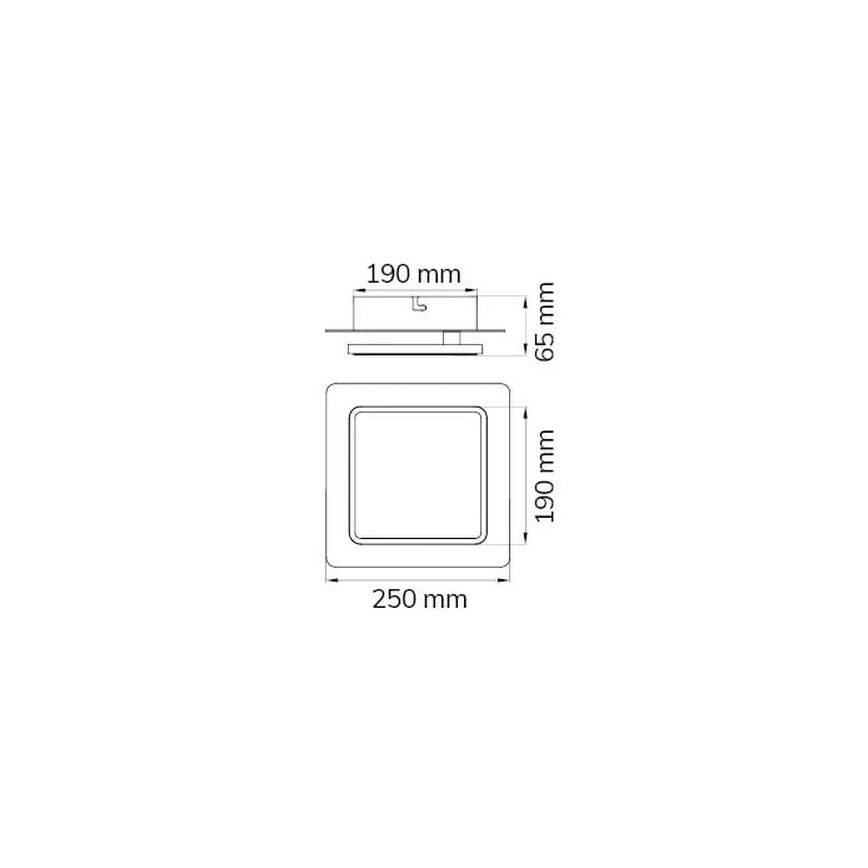 Wofi 12051 - Iluminação de teto LED SUTTER LED/10,5W/230V 3000K dourado