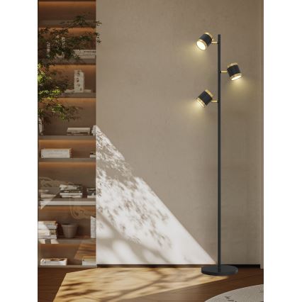 Wofi 3003-304S - Candeeiro de pé LED dimerizável TOULOUSE 3xLED/7W/230V preto/dourado