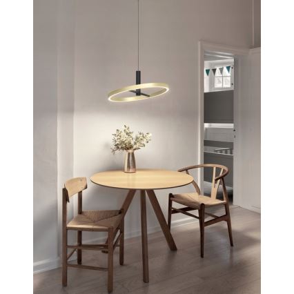 Wofi 6016-104L - Lustre pendente LED dimerizável em cabo BREST LED/19W/230V diâmetro 42 cm preto/dourado