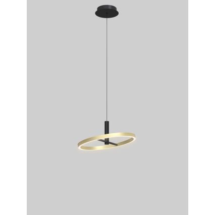 Wofi 6016-104L - Lustre pendente LED dimerizável em cabo BREST LED/19W/230V diâmetro 42 cm preto/dourado