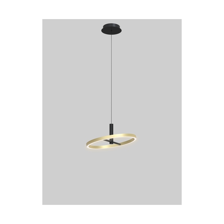Wofi 6016-104L - Lustre pendente LED dimerizável em cabo BREST LED/19W/230V diâmetro 42 cm preto/dourado