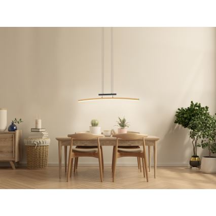 Wofi 7020-106 - Lustre LED regulável em cabo BOLOGNA LED/27W/230V