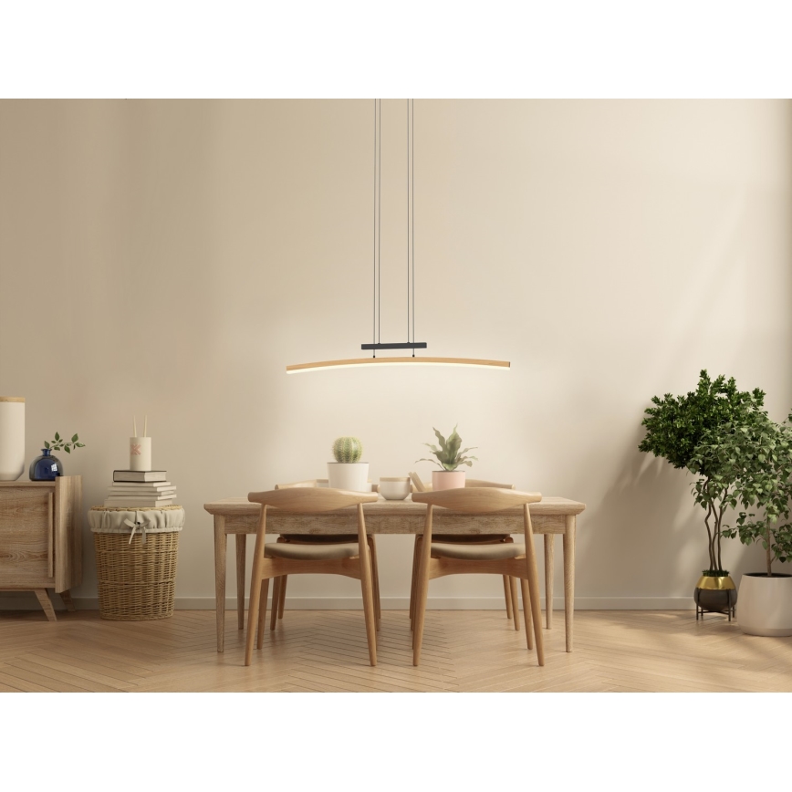 Wofi 7020-106 - Lustre LED regulável em cabo BOLOGNA LED/27W/230V