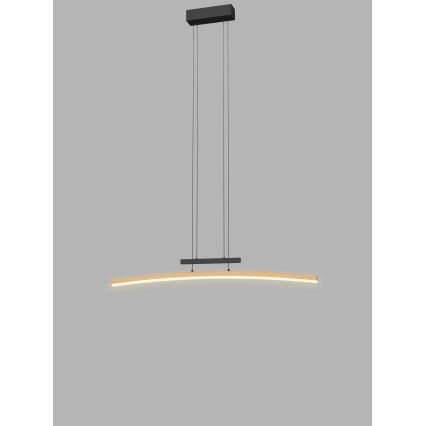 Wofi 7020-106 - Lustre LED regulável em cabo BOLOGNA LED/27W/230V