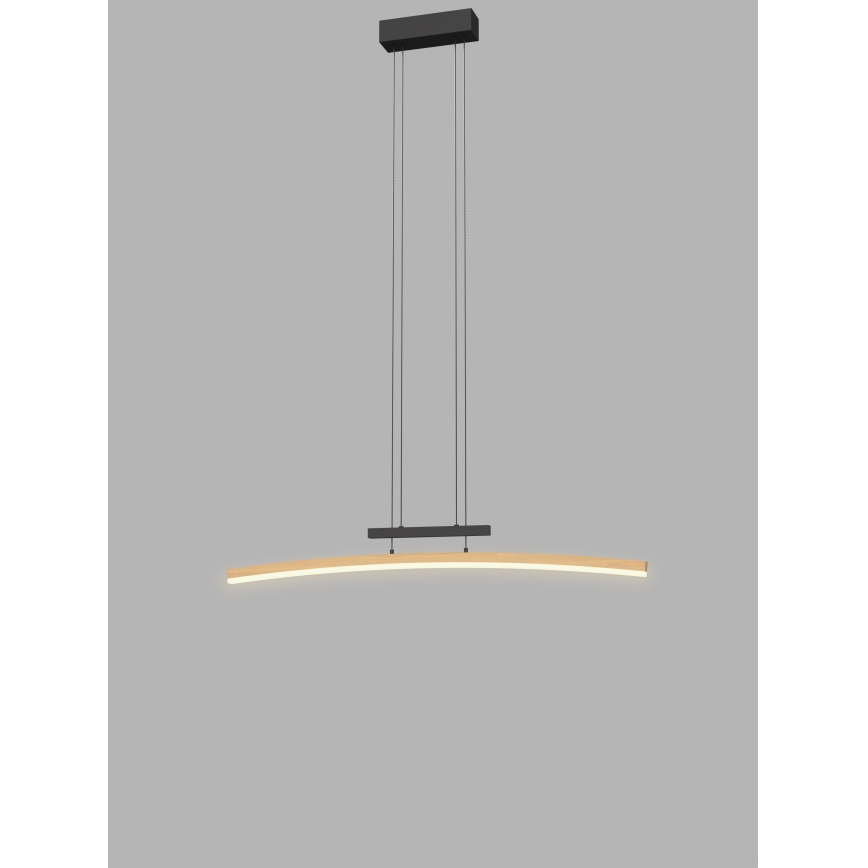 Wofi 7020-106 - Lustre LED regulável em cabo BOLOGNA LED/27W/230V