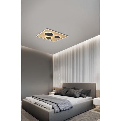 Wofi 9012-306L - Luminária de teto LED dimmerizável DIJON LED/40W/230V