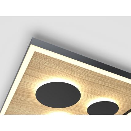 Wofi 9012-306L - Luminária de teto LED dimmerizável DIJON LED/40W/230V