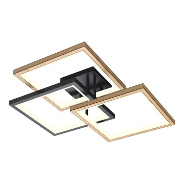 Wofi 9022-306S - Luminária de teto LED dimmerizável MATERA LED/40W/230V