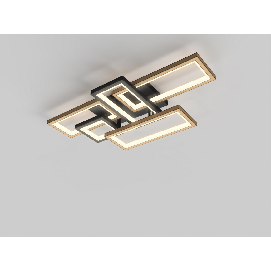 Wofi 9022-506 - Candeeiro de teto LED regulável MATERA LED/60W/230V