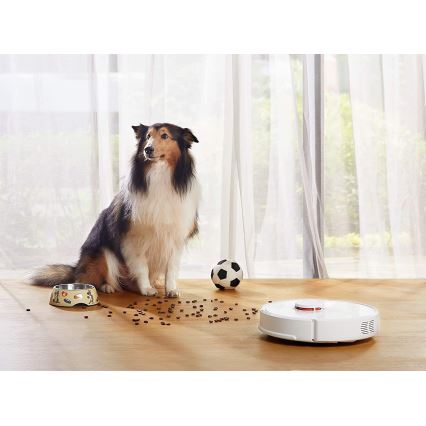 Xiaomi - Aspirador robô inteligente ROBOROCK S6 42W Wi-Fi branco